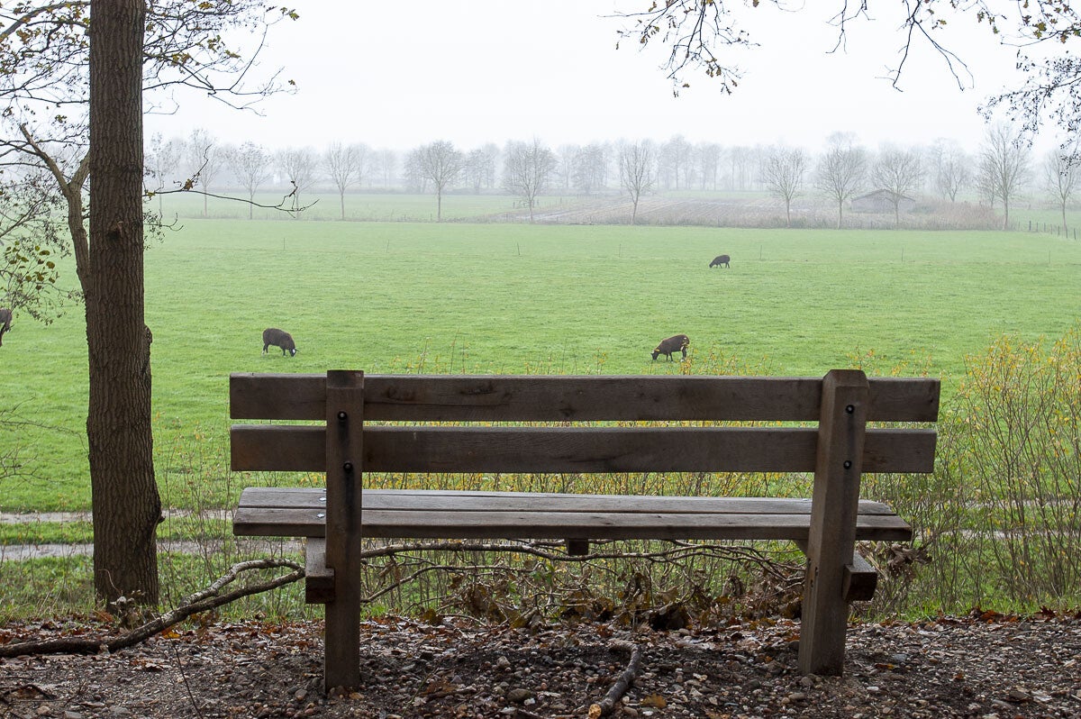 oudenhorsterpad_048-1.jpg