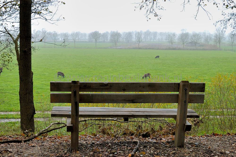 oudenhorsterpad_048.jpg