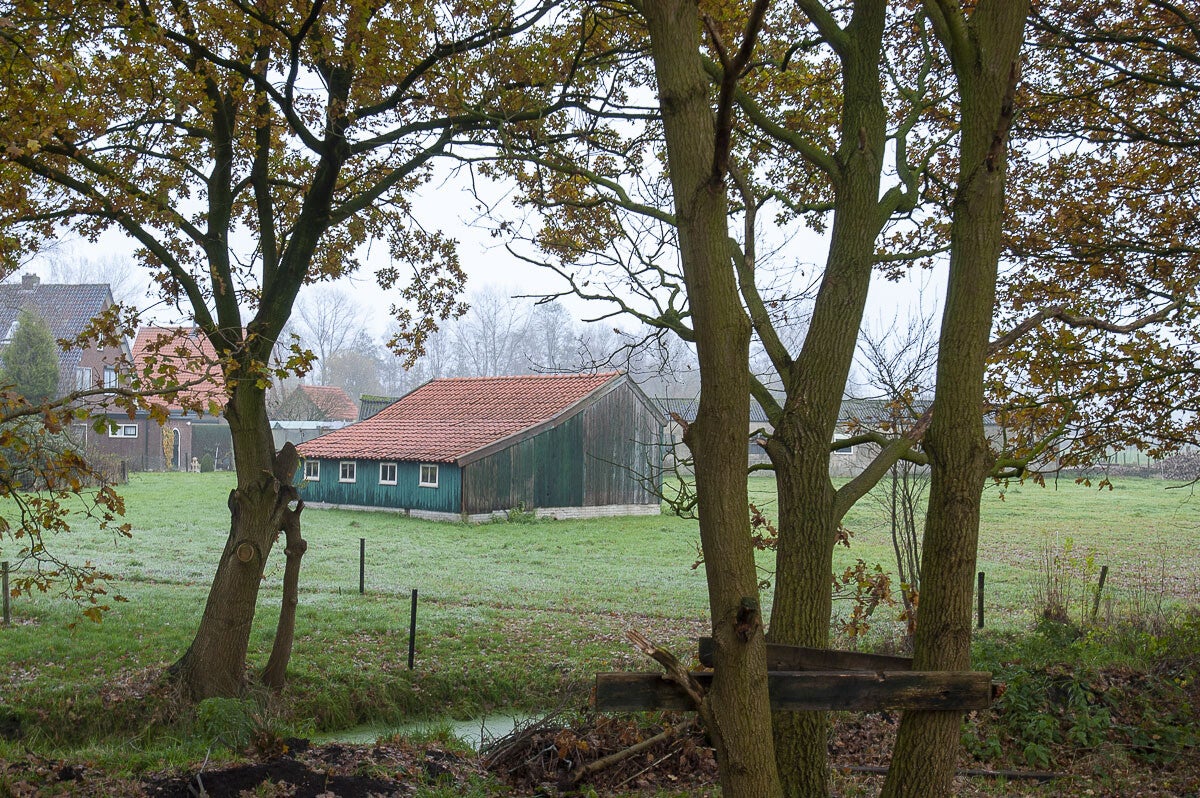 oudenhorsterpad_052-2.jpg