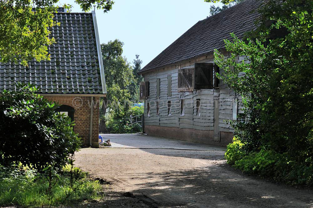 oudwillaer_748.jpg