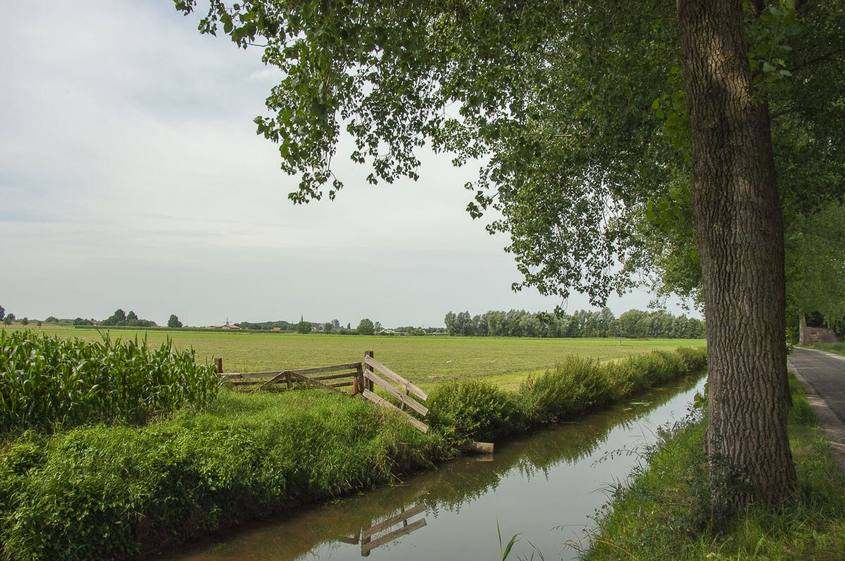overlangbroeksepad093-1.jpg