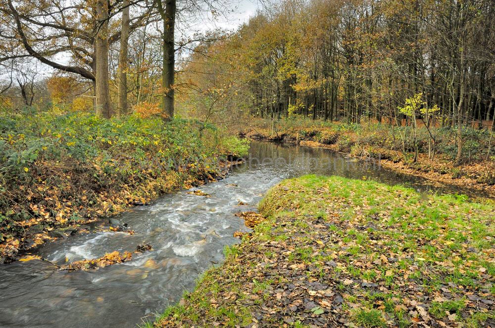 Groot Bylaer-Barneveld