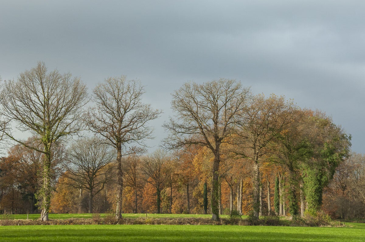 paradijspad018-2.jpg