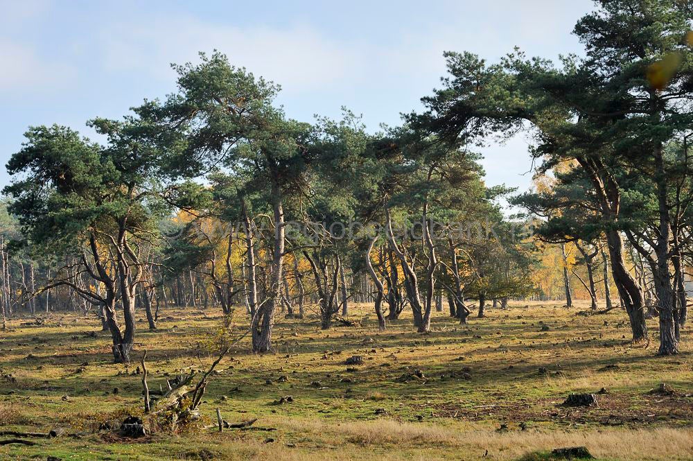 plantage_willem_III-012.jpg