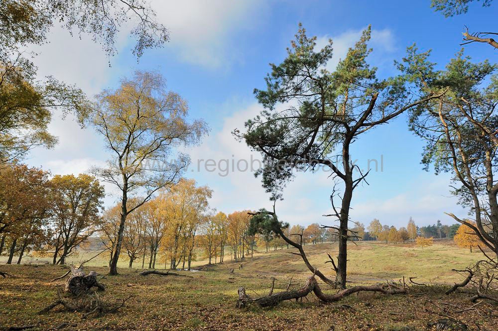 plantage_willem_III-018.jpg