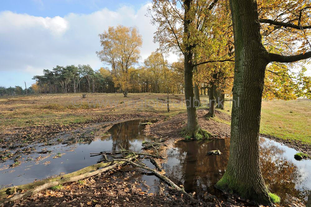 plantage_willem_III-027.jpg