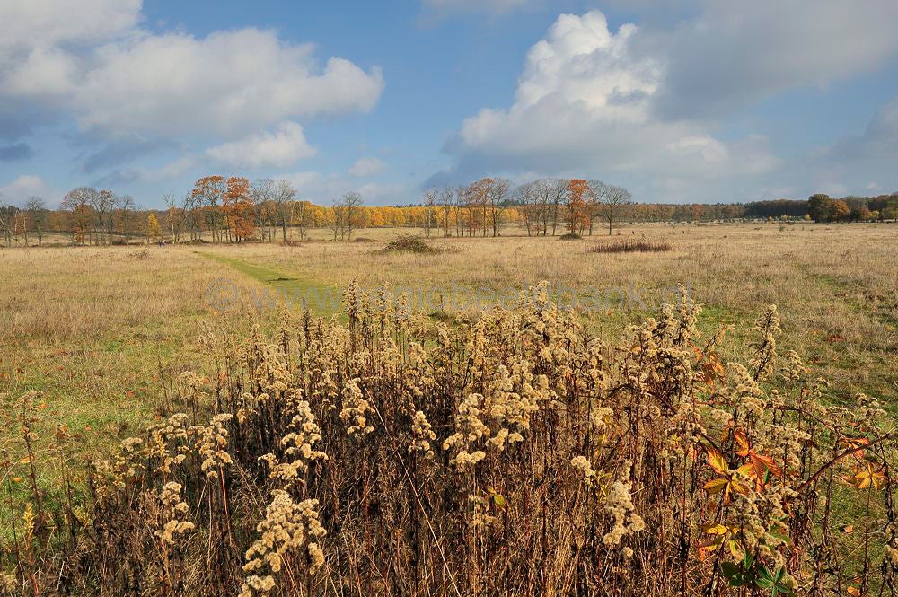 plantage_willem_III-035.jpg
