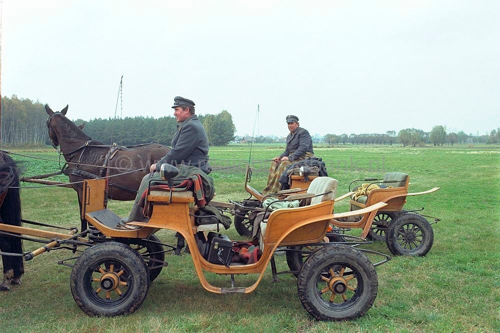 polen_016.jpg