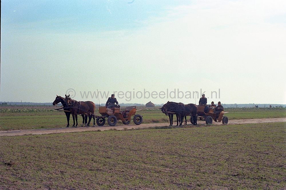 polen_028.jpg