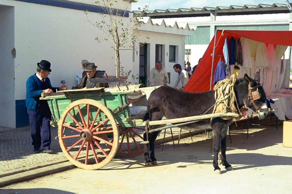 portugal_004.jpg