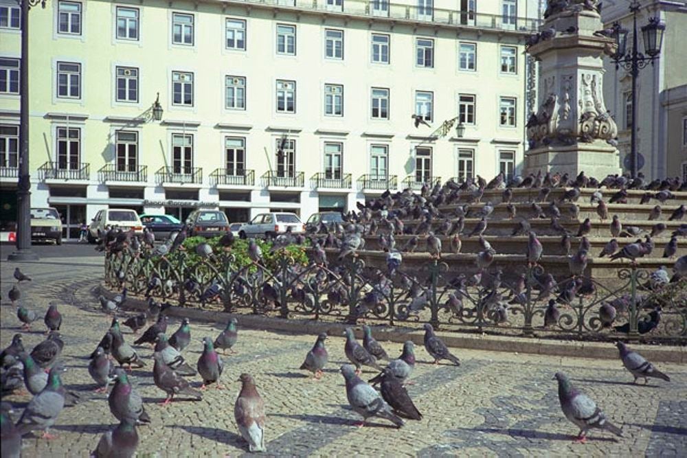 portugal_048.jpg