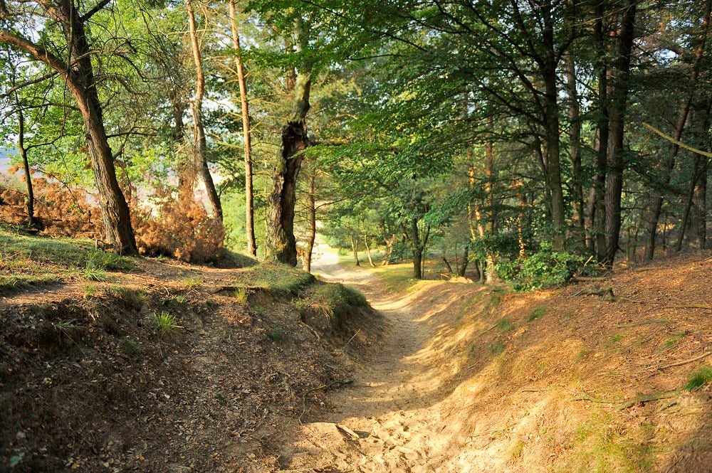 posbank_heide_065.jpg
