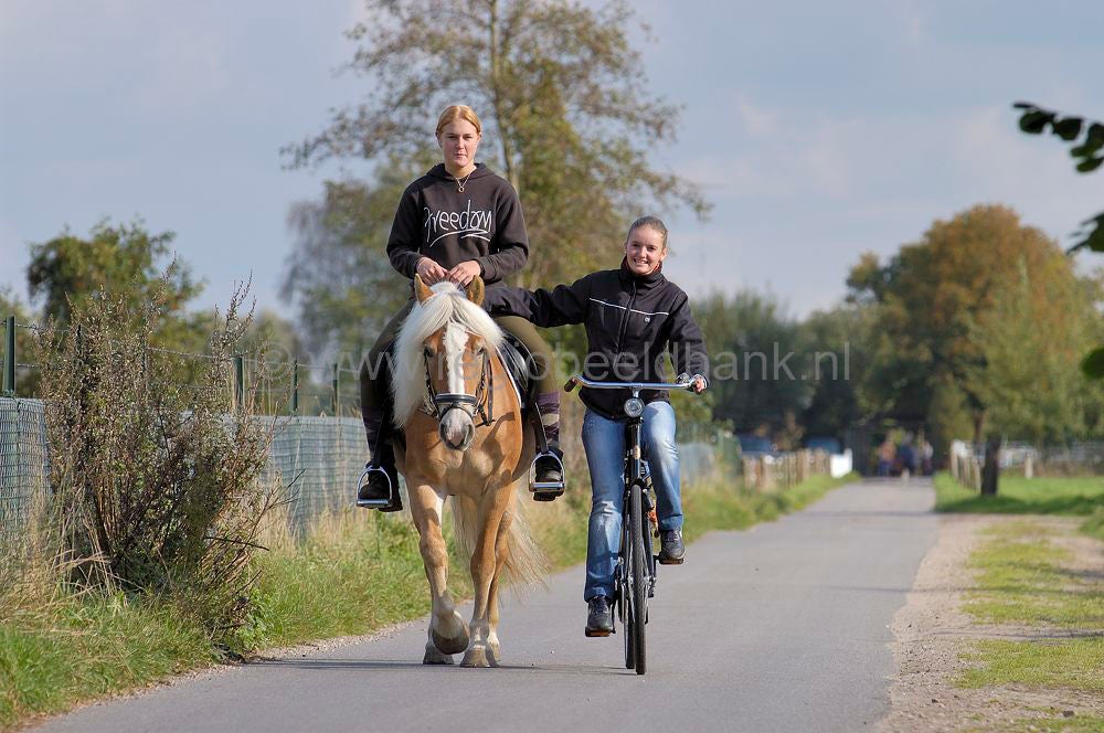 recreatie_paard_004.jpg