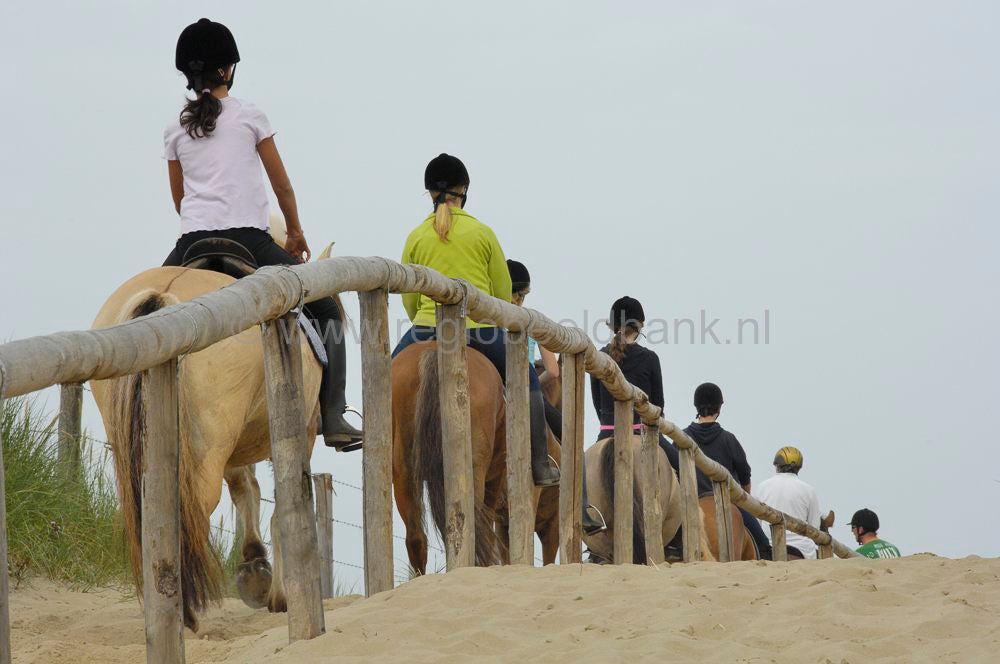 recreatie_paard_011.jpg