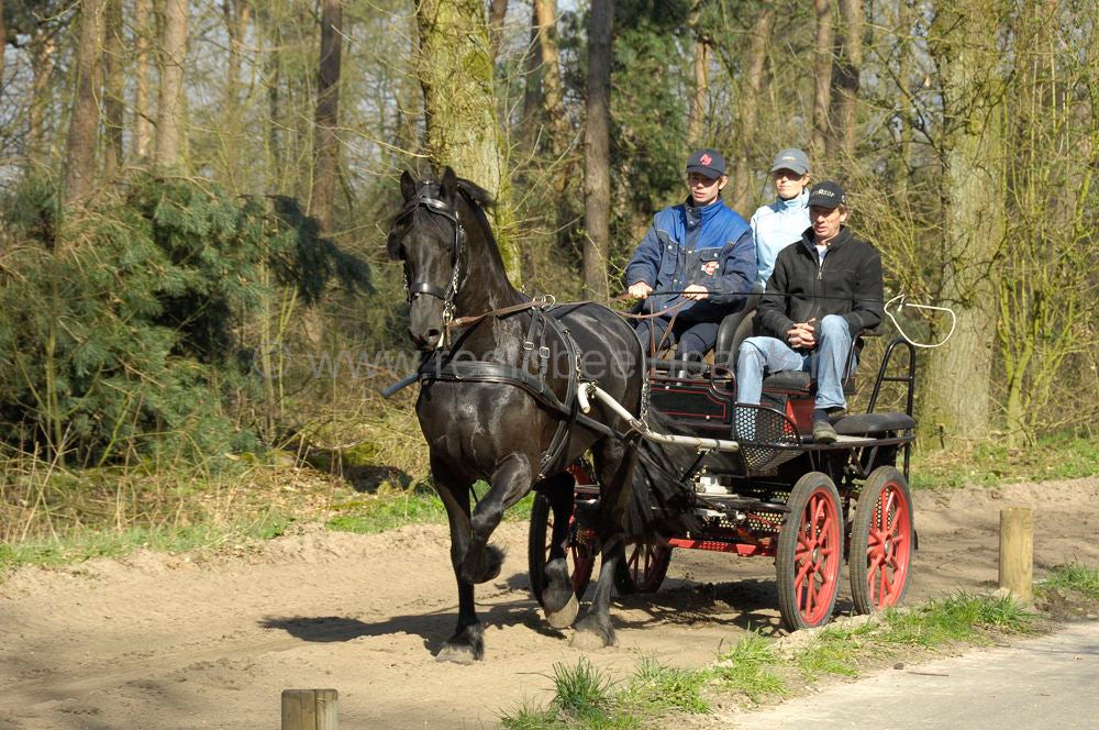 recreatie_paard_020.jpg