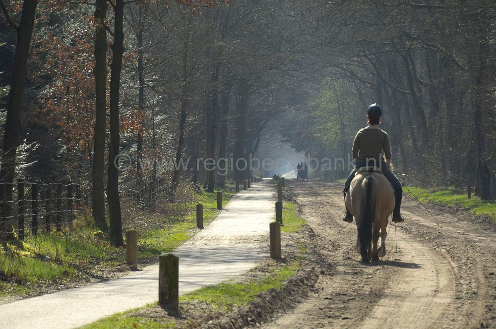 recreatie_paard_023.jpg