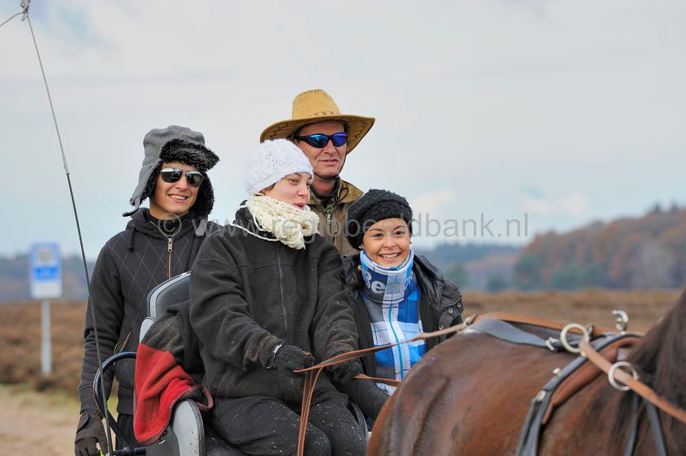 recreatie_paard_032.jpg