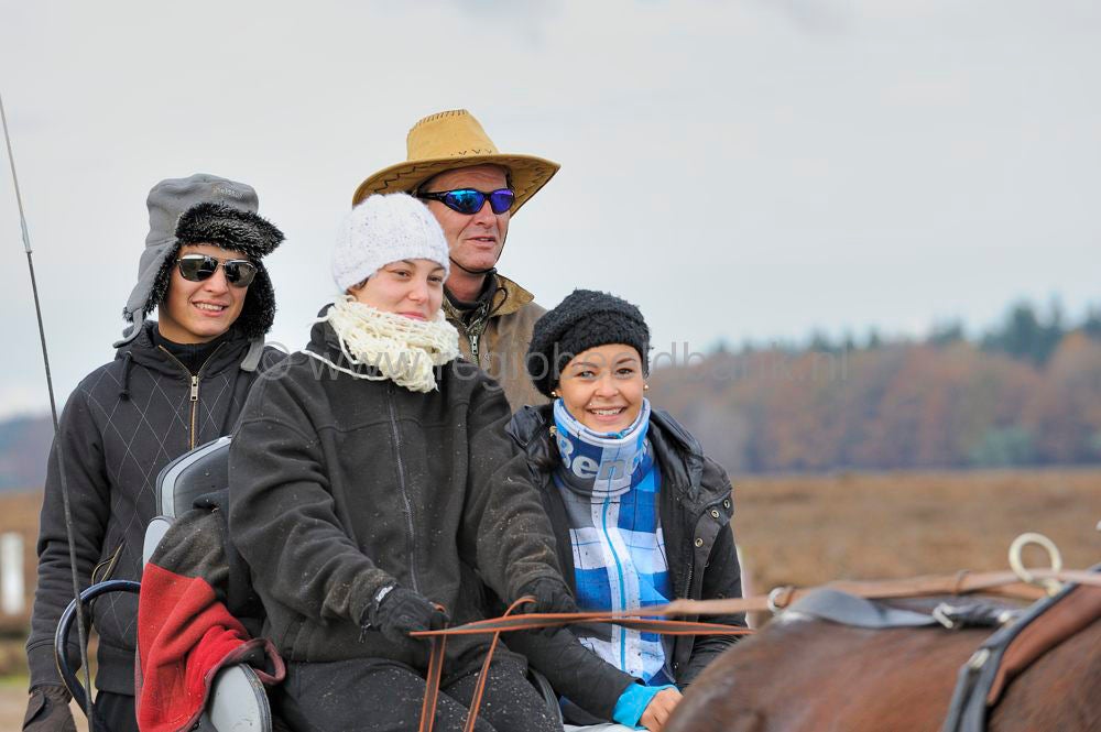 recreatie_paard_033.jpg