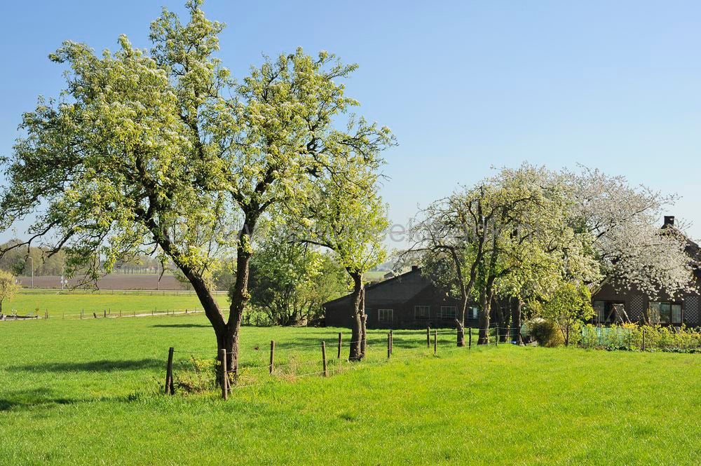 remmerstein_036.jpg