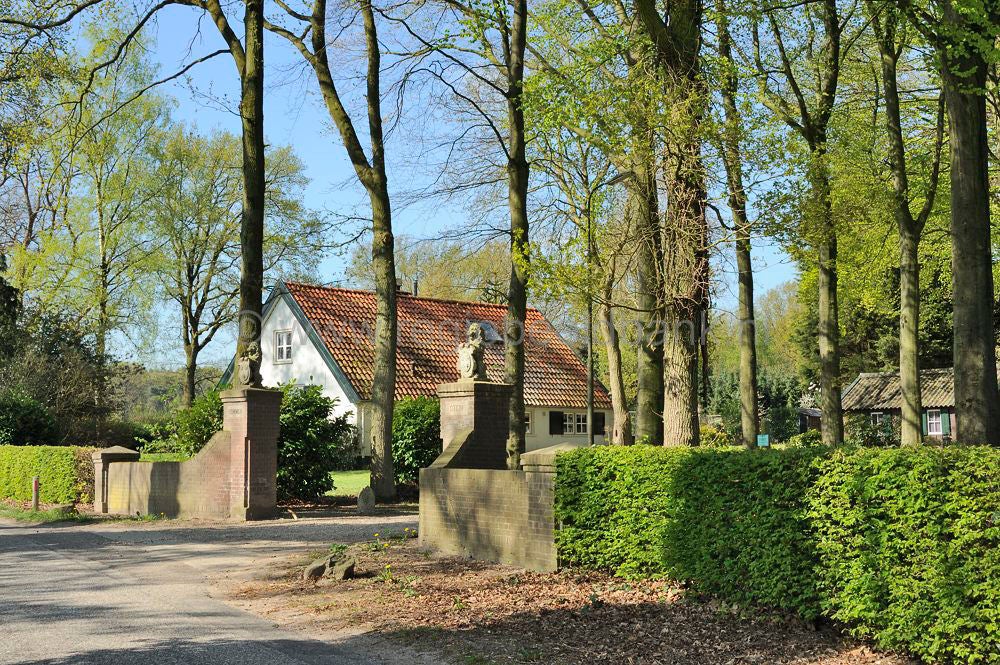 remmerstein_040.jpg