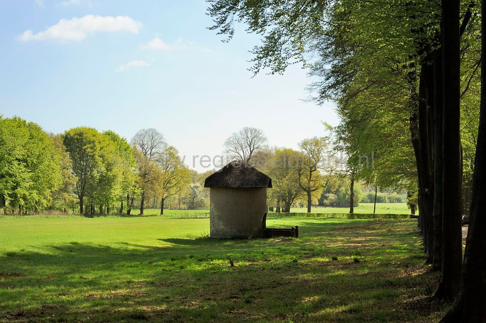 remmerstein_046.jpg