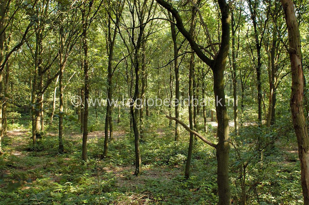 renswoude_fortdaatselaar_0167.jpg
