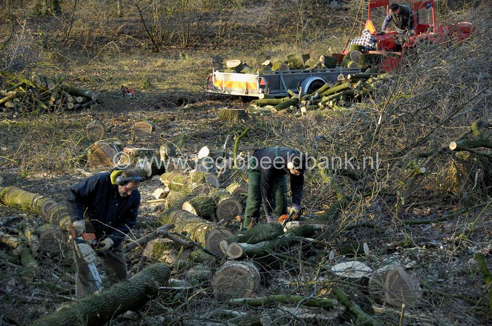 renswoude_fortdaatselaar_0181.jpg