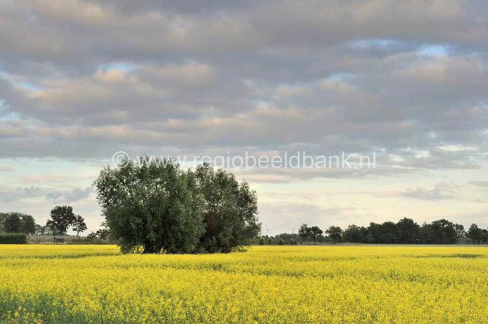 rijn_amerongen_002.jpg