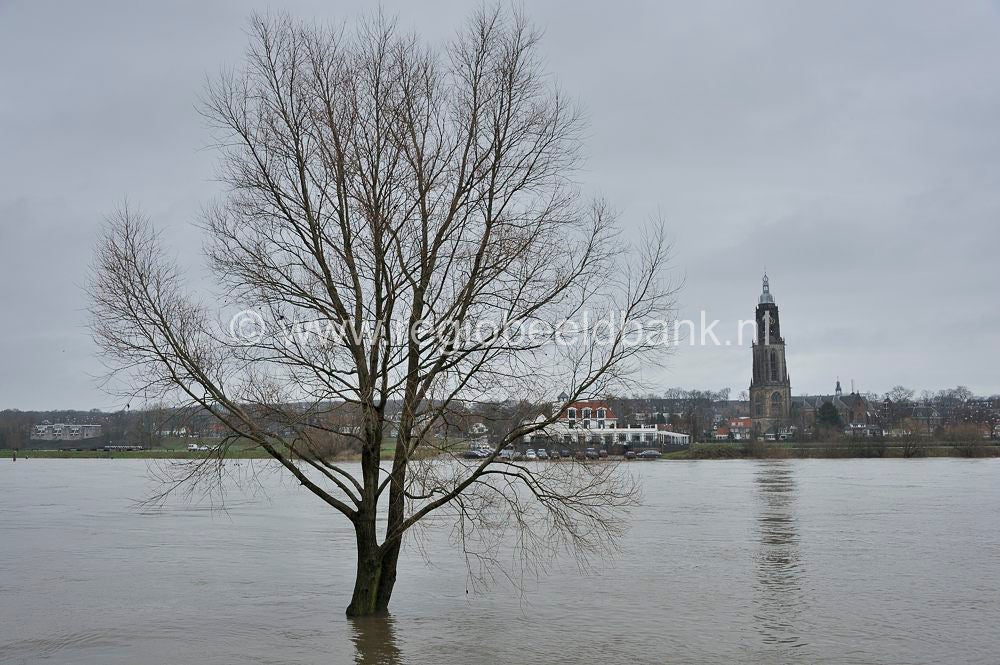 rijnoevers__027.jpg