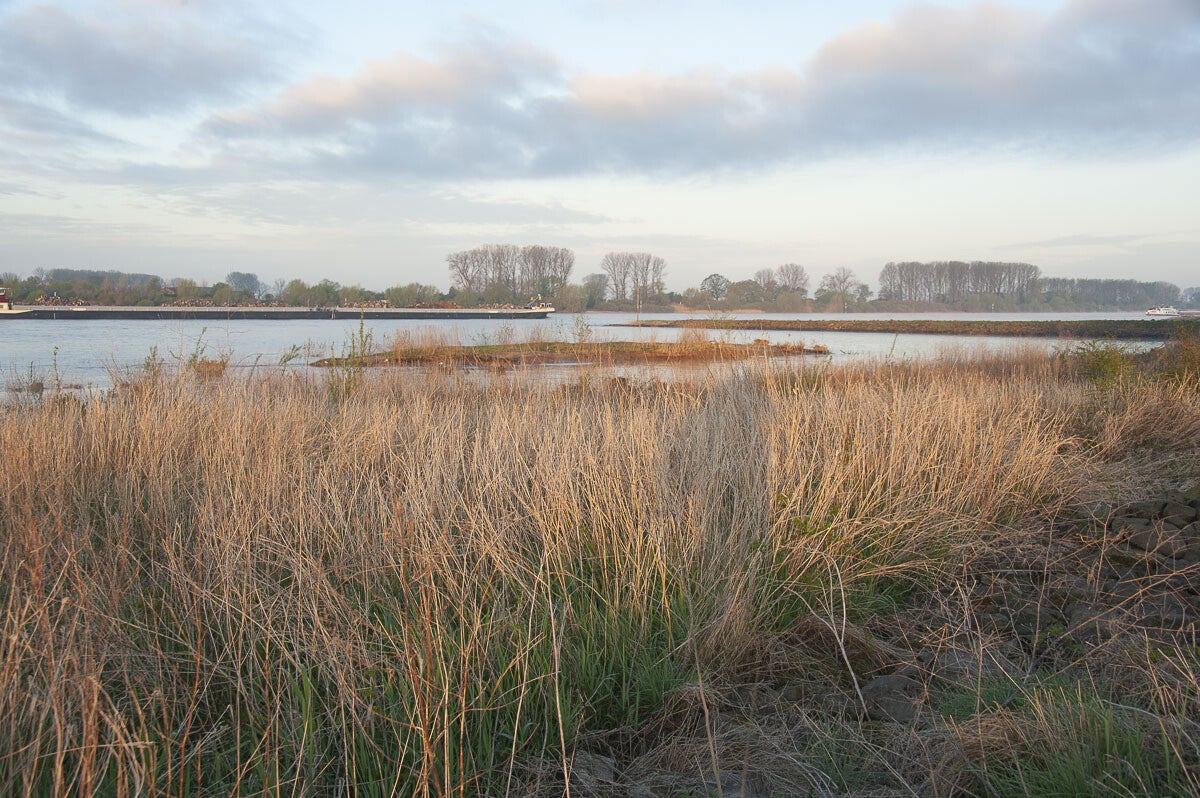 rijnweidepad_047-1.jpg