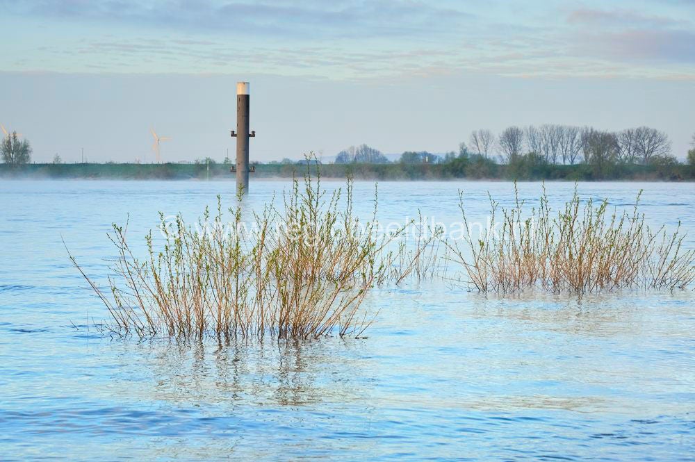 rijnweidepad_051.jpg