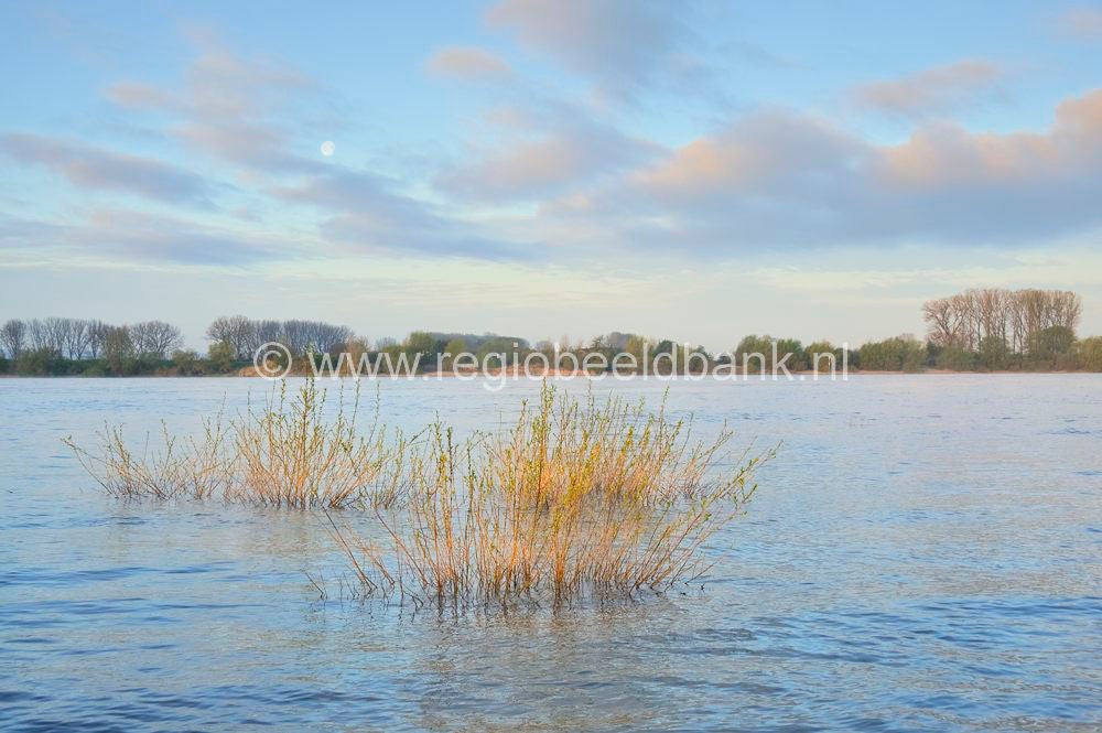 rijnweidepad_060.jpg