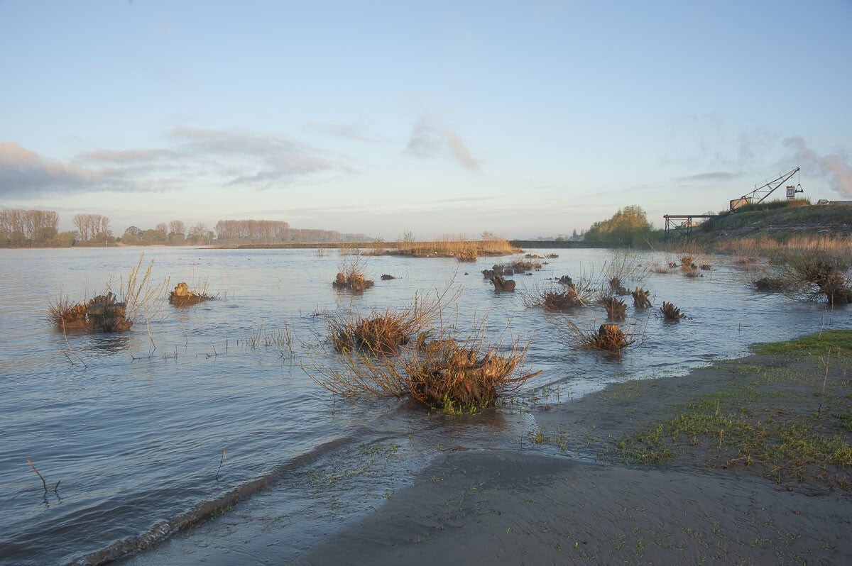 rijnweidepad_070-2.jpg