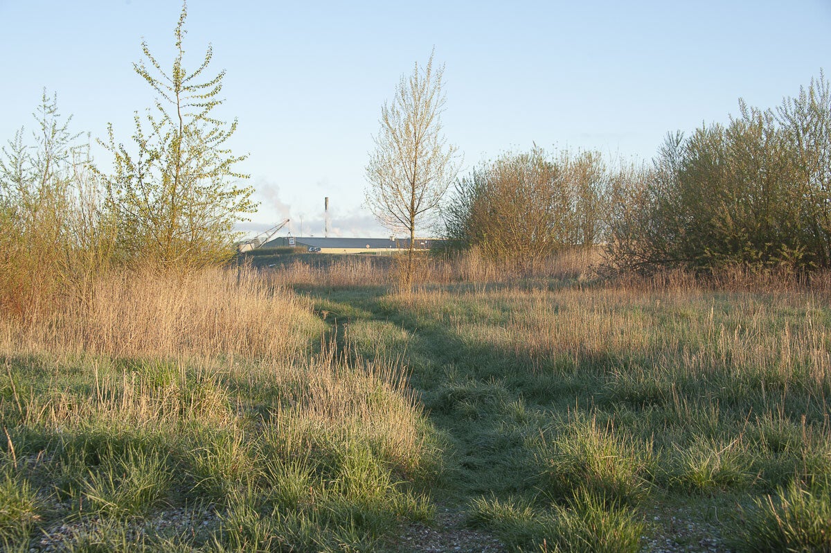 rijnweidepad_097-1.jpg