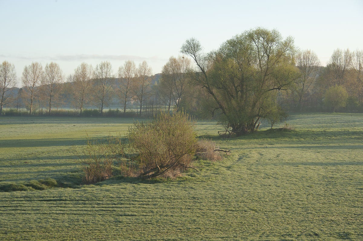 rijnweidepad_109-1.jpg