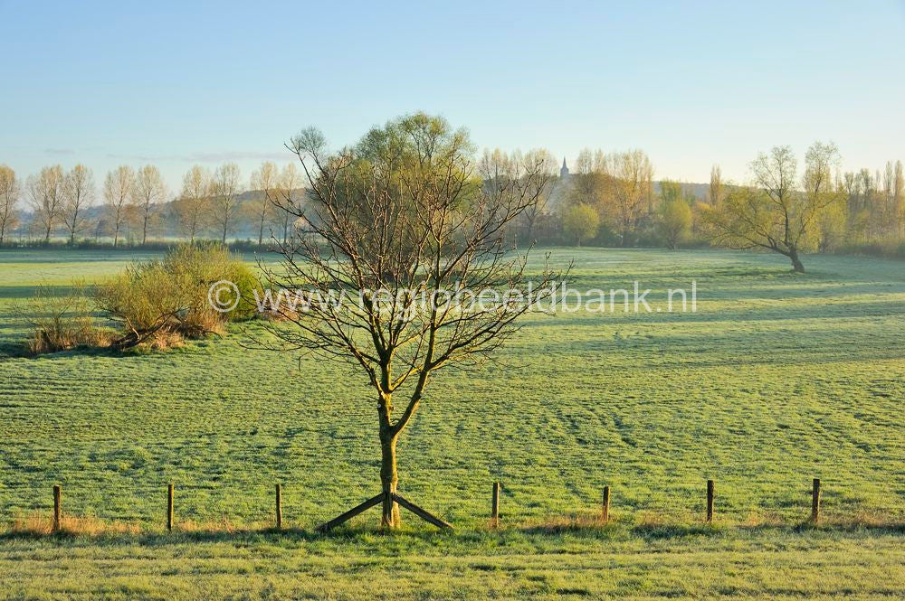 rijnweidepad_111.jpg