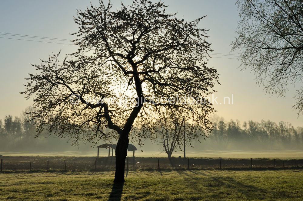 rijnweidepad_119.jpg