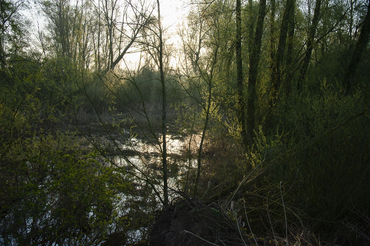 rijnweidepad_125-1.jpg