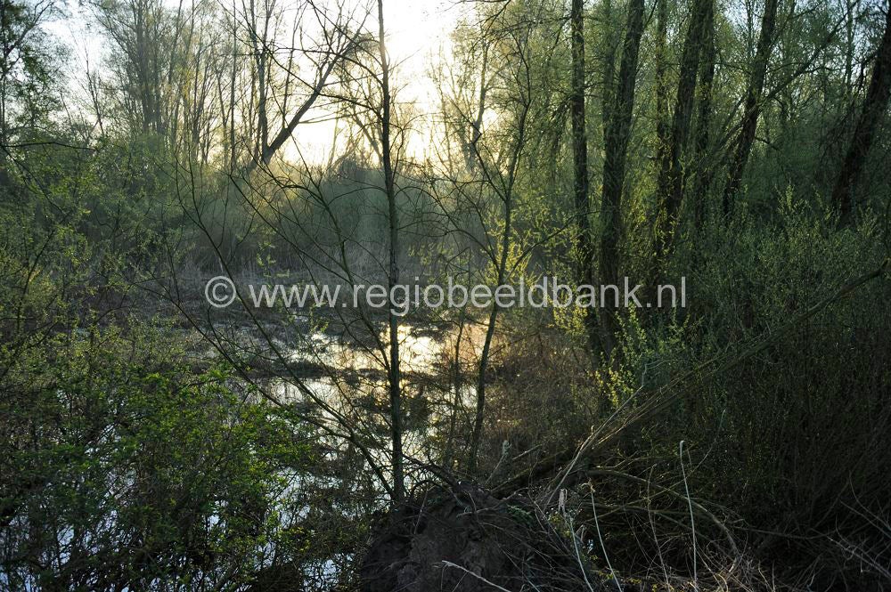 rijnweidepad_125.jpg