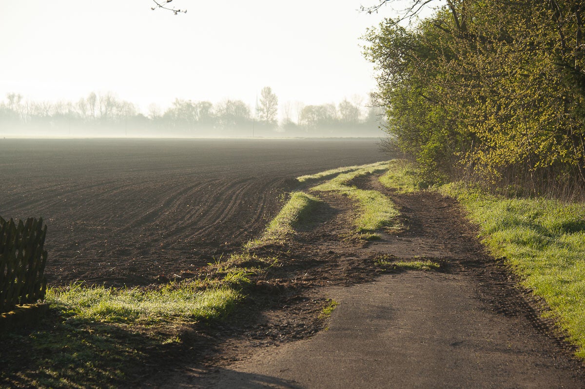 rijnweidepad_132-1.jpg