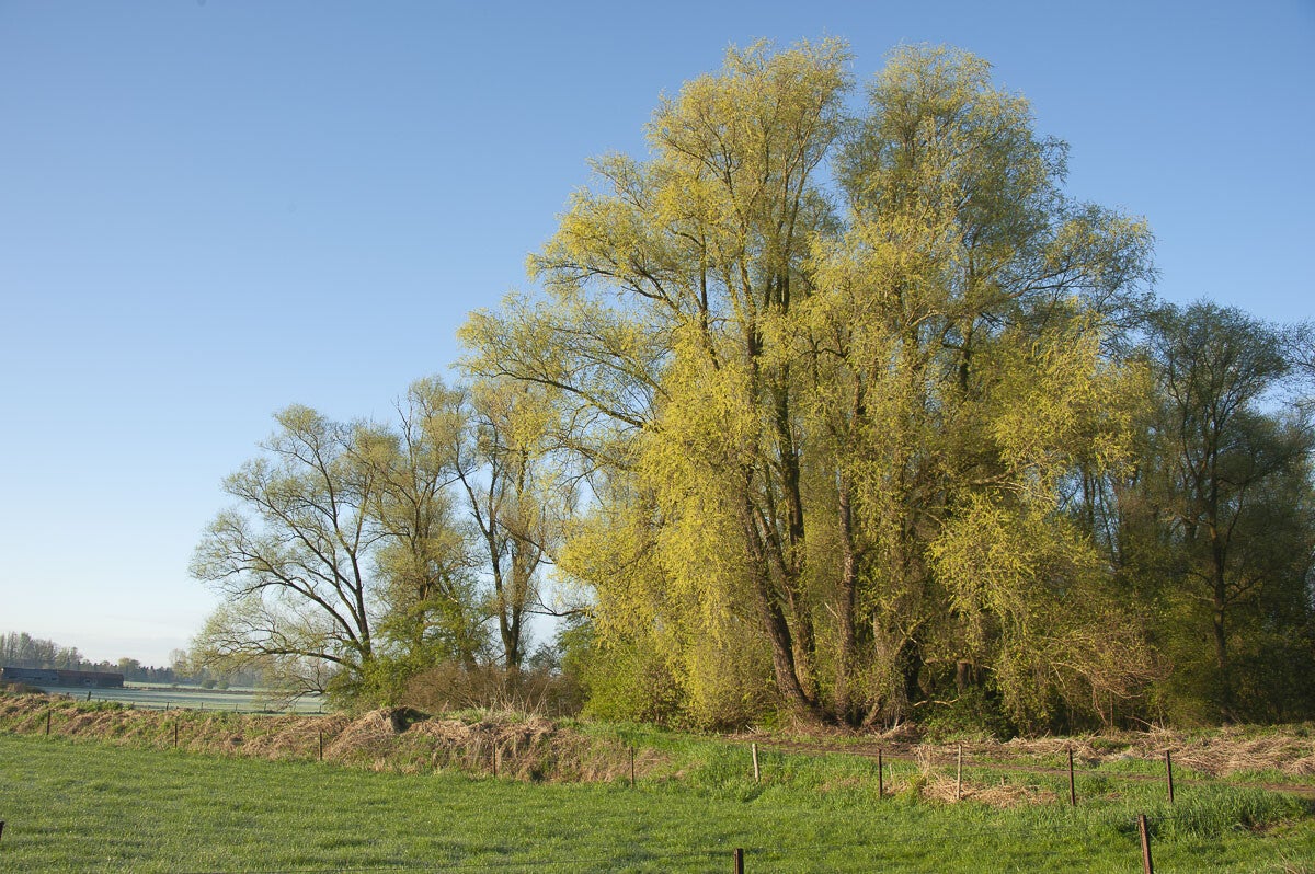 rijnweidepad_139-1.jpg