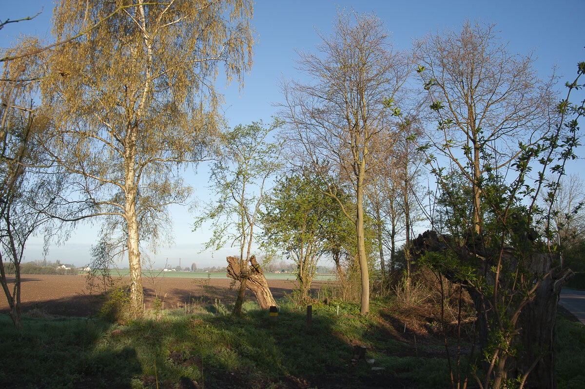 rijnweidepad_143-1.jpg