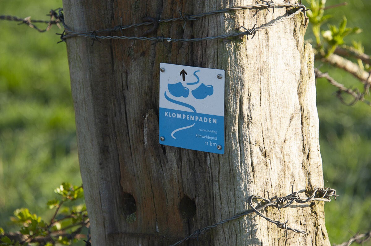 rijnweidepad_187-1.jpg