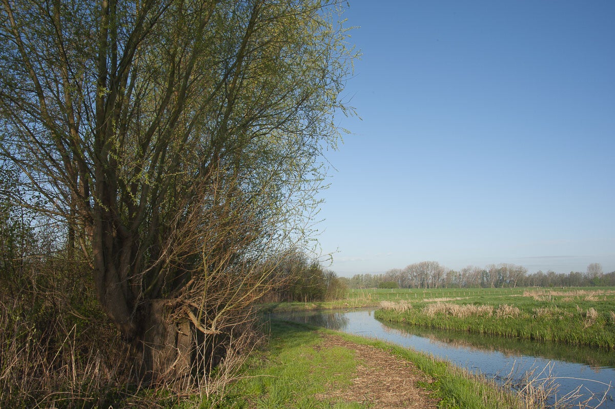 rijnweidepad_205-1.jpg