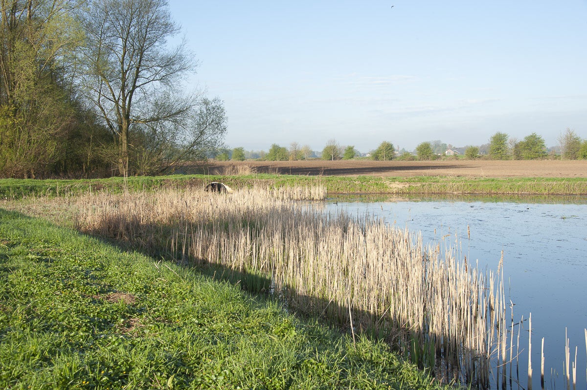 rijnweidepad_229-1.jpg