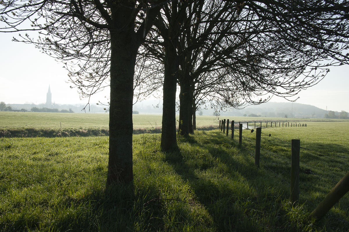 rijnweidepad_231-1.jpg
