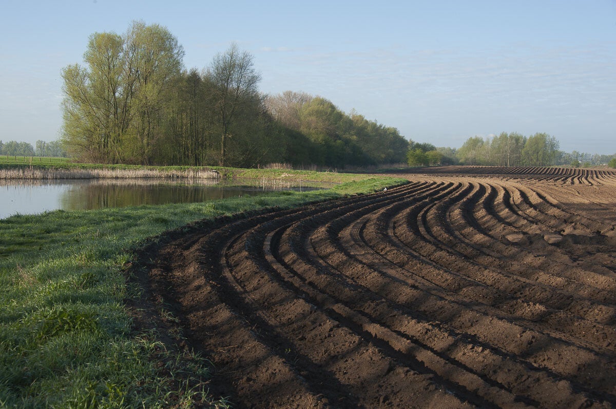 rijnweidepad_239-1.jpg