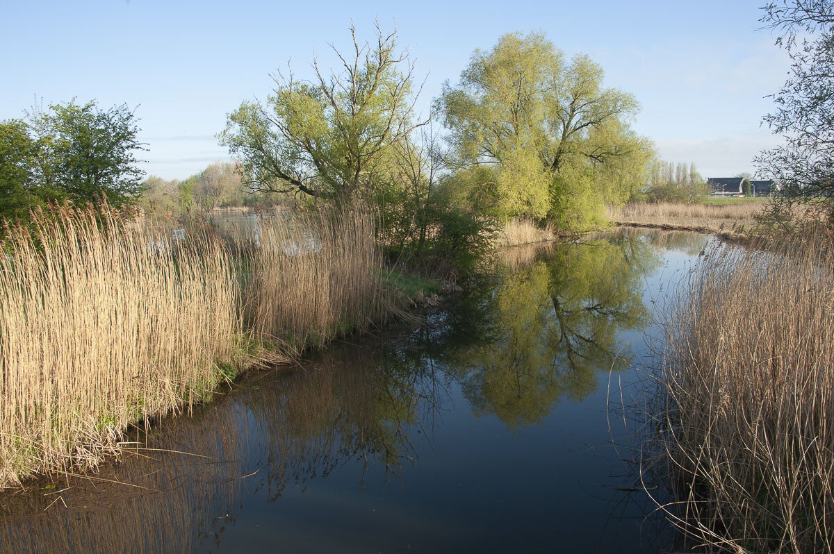 rijnweidepad_250-1.jpg
