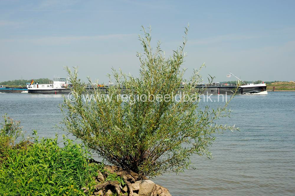 rondje_wamel_053.jpg