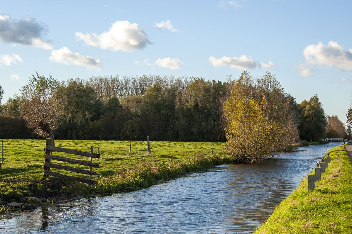 schalkwijk_011-1.jpg